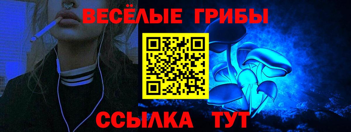 купить наркоту  Вход с VPN  Луга  Галлюциногенные грибы прущие грибы 