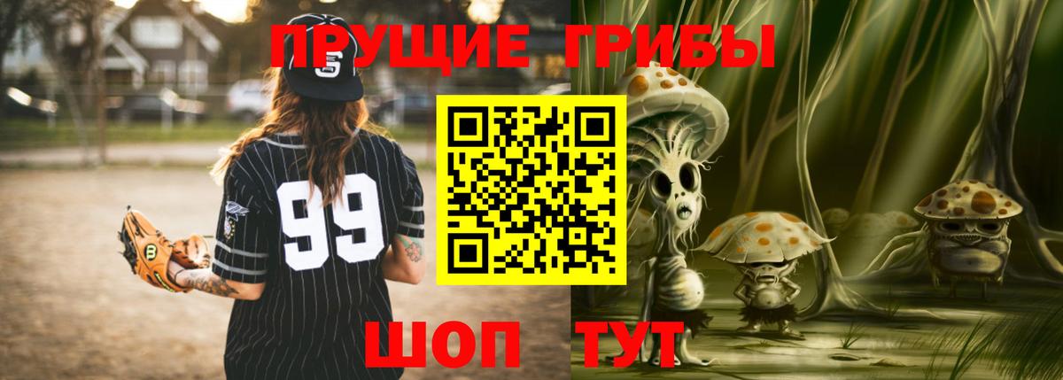 Псилоцибиновые грибы прущие грибы Луга